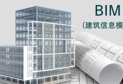 bim建模工程師報(bào)考條件,湘西bim建模工程師