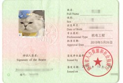 二級建造師執業資格二級建造師執業資格證書