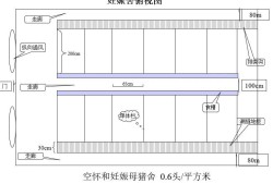 水泡糞豬舍設(shè)計圖,豬舍設(shè)計圖