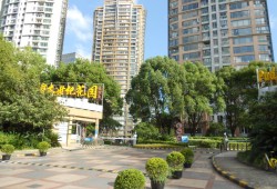 世紀(jì)花園txt,誰有世紀(jì)花園txt全本小說