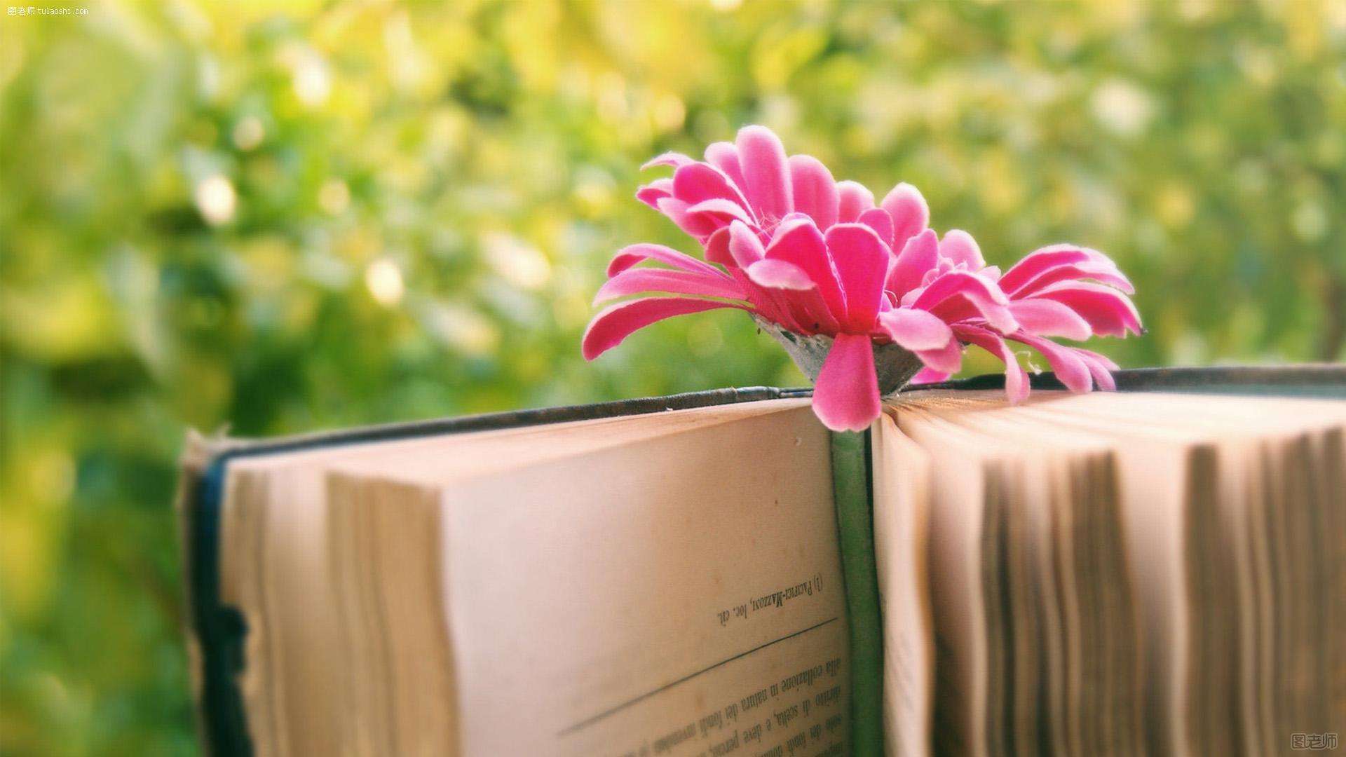 京華網(wǎng)校注冊安全工程師怎么樣,京華網(wǎng)校注冊安全工程師  第2張