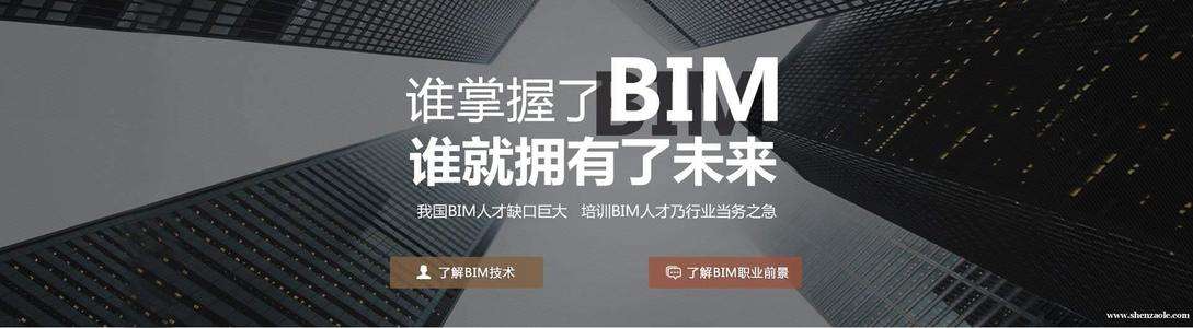 關于bim工程師的工作標準的信息  第2張
